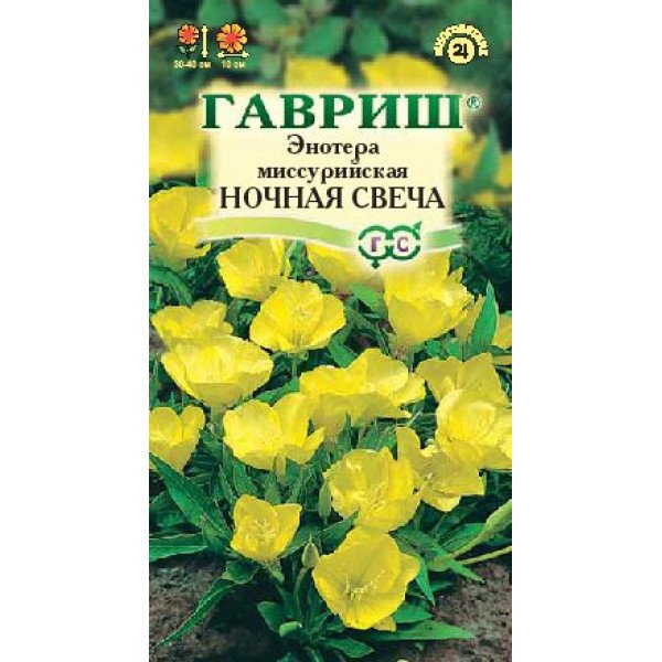 Насіння енотери миссурійскої Нічна свічка /0,2 г/ *Гавриш*