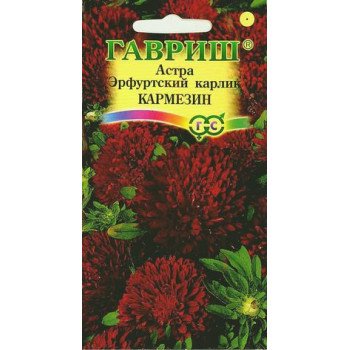 Астра Эрфуртский карлик Кармезин /0,3 г/ *Гавриш*