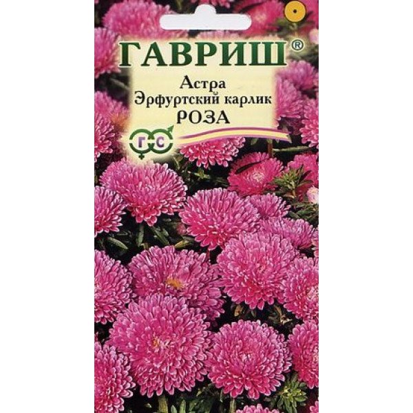 Насіння айстри Ерфуртський карлик троянда /0,3 г/ *Гавриш*