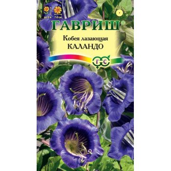Кобея Каландо /5 семян/ *Гавриш*