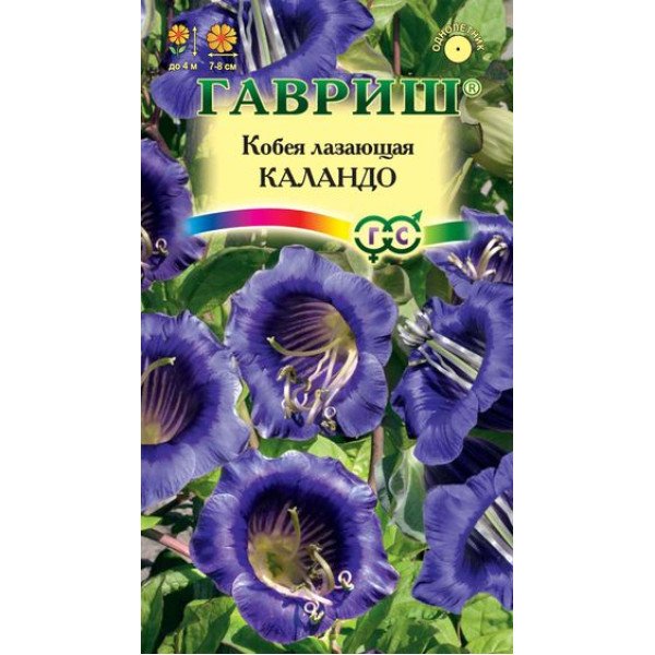 Насіння кобеї Каландо /5 насінин/ *Гавриш*