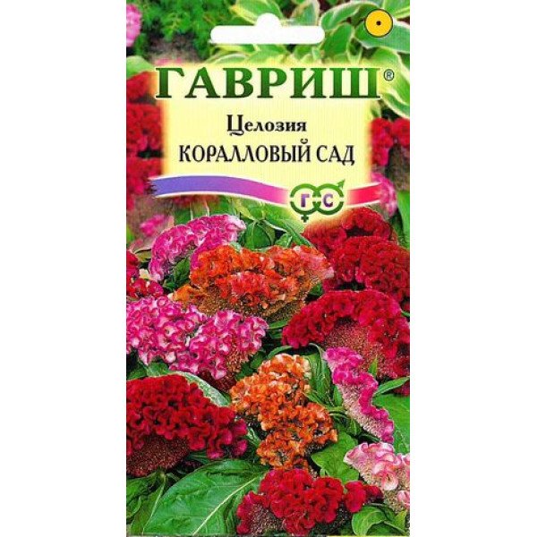 Насіння целозії гребенчатої ​​Кораловий сад /0,2 г/ *Гавриш*