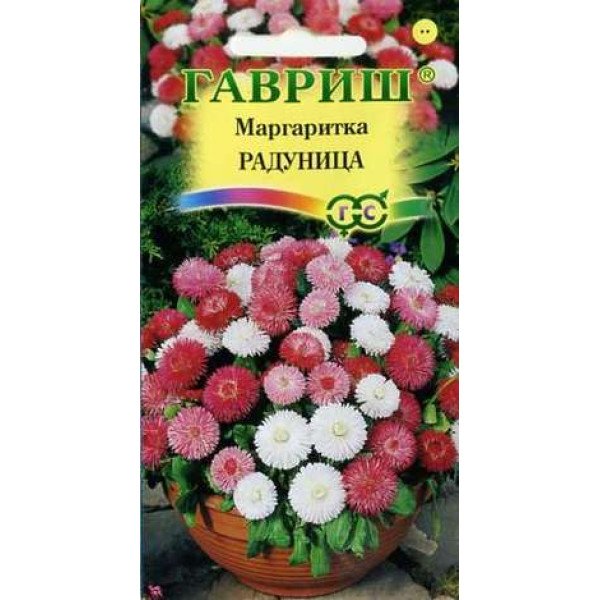 Насіння маргаритки Радуниця суміш /0,1 г/ *Гавриш*