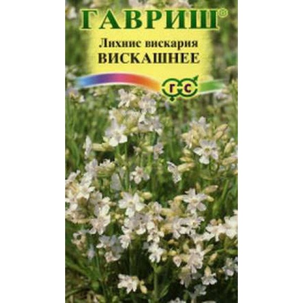 Семена лихниса Вискашнее /0,1 г/ *Гавриш*