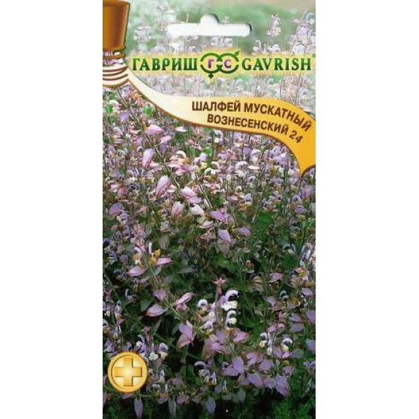 Семена шалфея мускатного Вознесенский 24 /0,3 г/ *Гавриш*