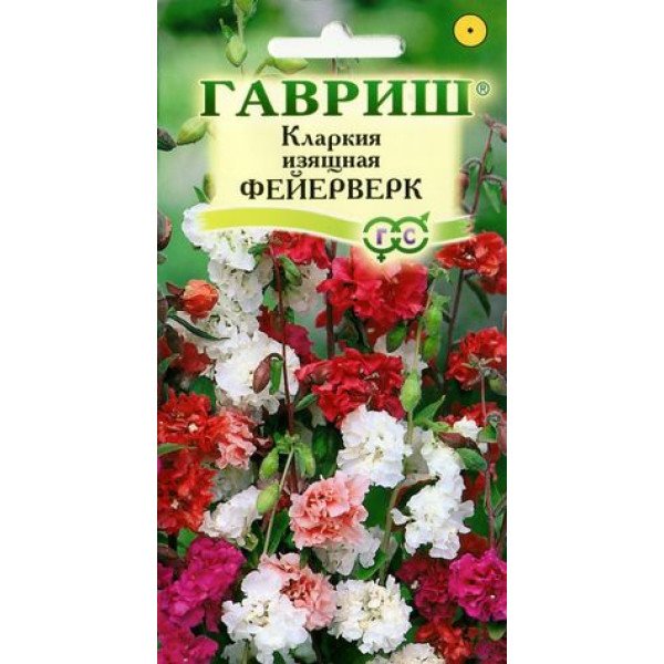 Насіння кларкії Феєрверк суміш /0,1 г/ *Гавриш*