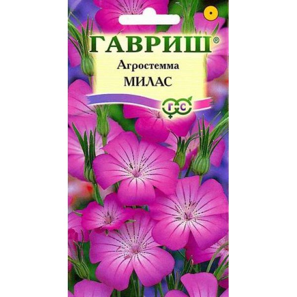 Семена агростеммы Милас /0,5 г/ *Гавриш*