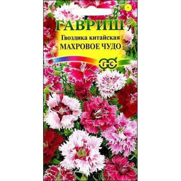 Насіння гвоздики китайської Махрове Чудо /0,1 г/ *Гавриш*