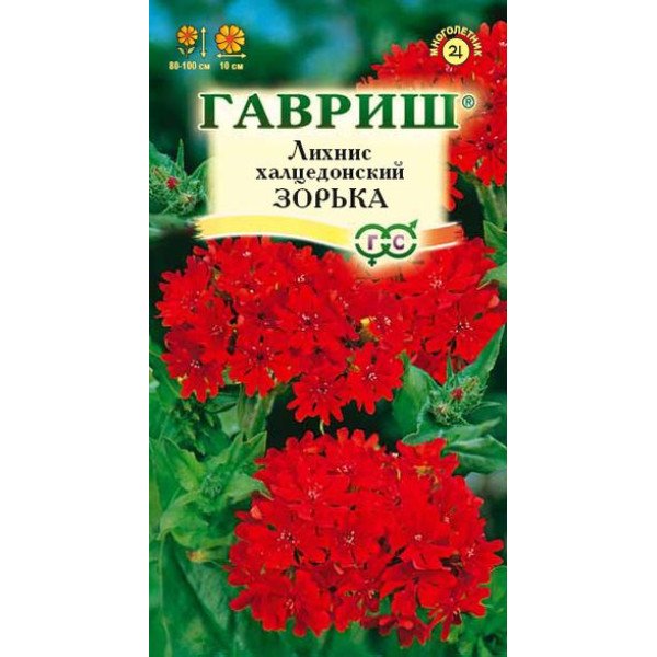 Семена лихниса халцедонского Зорька /0,1 г/ *Гавриш*