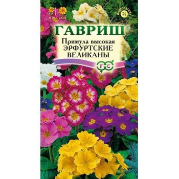 Примула высокая Эрфуртские великаны /20 семян/ *Гавриш*