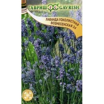 Лаванда узколистная Вознесенская 34 /0,05 г/ *Гавриш*