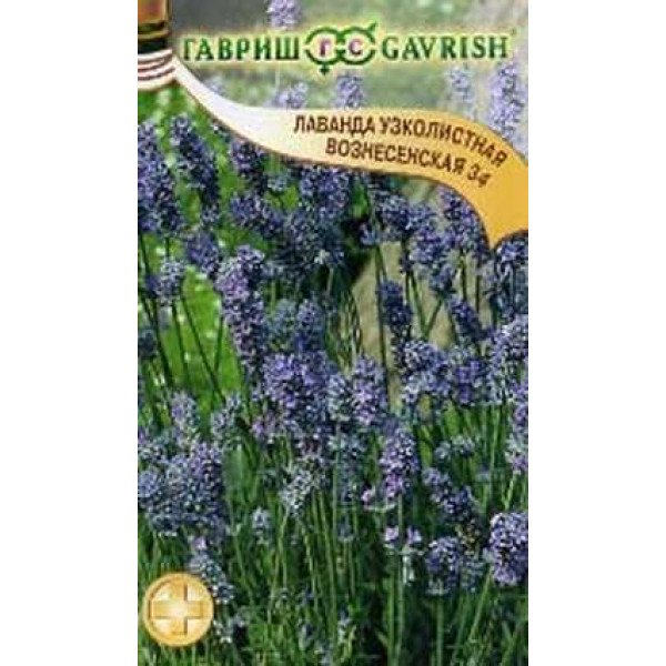 Семена лаванды узколистная Вознесенская 34 /0,05 г/ *Гавриш*