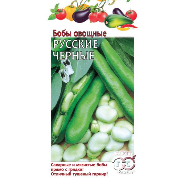 Семена бобов Русские черные /10 семян/ *Гавриш*