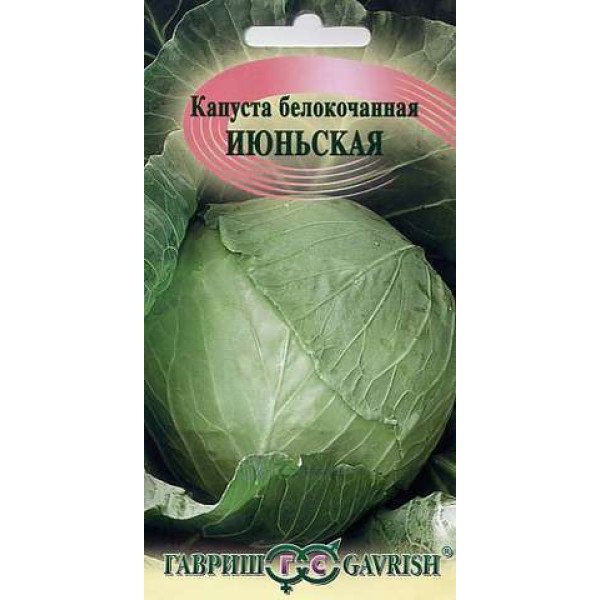 Насіння капусти білоголової Червнева /0,5 г/ *Гавриш*