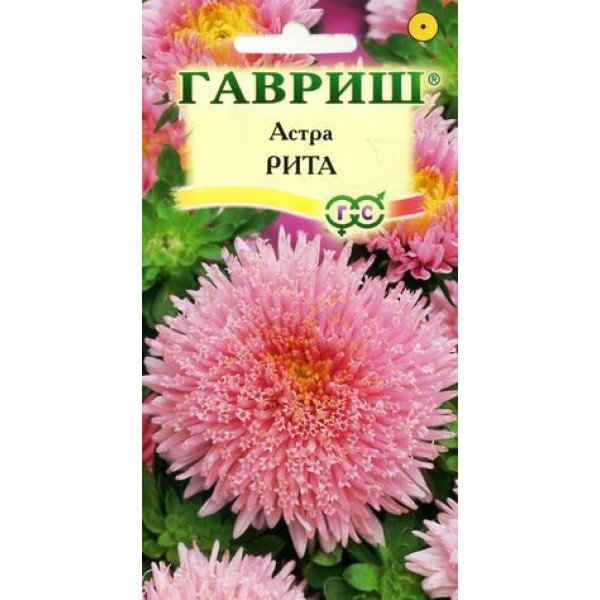 Семена астры Рита /0,3 г/ *Гавриш*