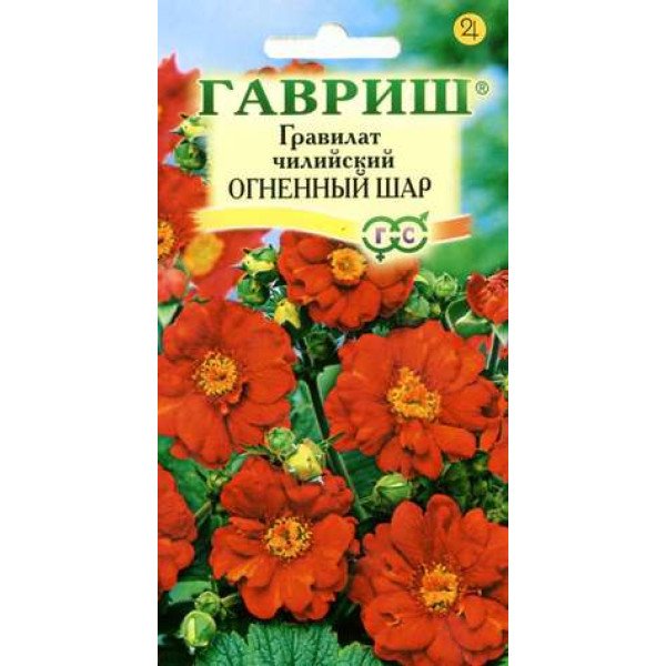 Насіння гравілату Вогненна куля чилійський /0,1 г/ *Гавриш*