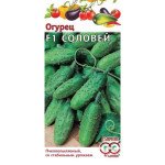Огірок Соловейко F1 /10 насінин/ *Гавриш*