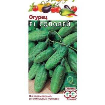 Огурец Соловей F1 /10 семян/ *Гавриш*