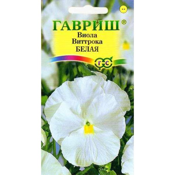 Семена виолы Белая /0,1 г/ *Гавриш*