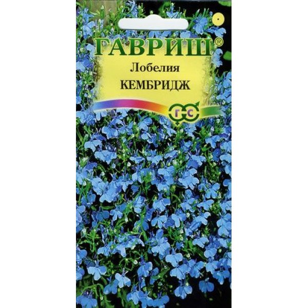 Семена кобелии Кембридж /0,01 г/ *Гавриш*