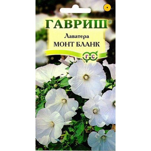 Насіння лаватери Монт Бланк /0,5 г/ *Гавриш*