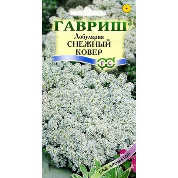 Семена лобулярии Снежный ковер /0,2 г/ *Гавриш*