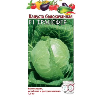 Капуста белокочанная Трансфер F1 /0,1 г/ *Гавриш*