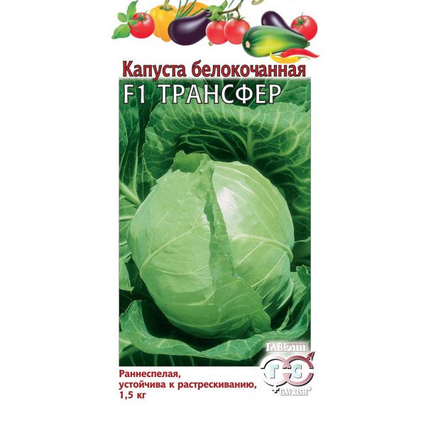 Насіння капусти білоголової Трансфер F1 /0,1 г/ * Гавриш *
