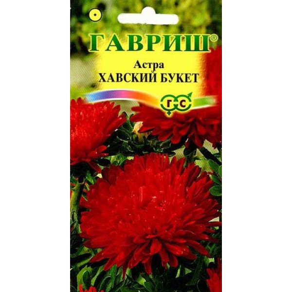 Насіння айстри Хавський букет /0,3 г/ *Гавриш*