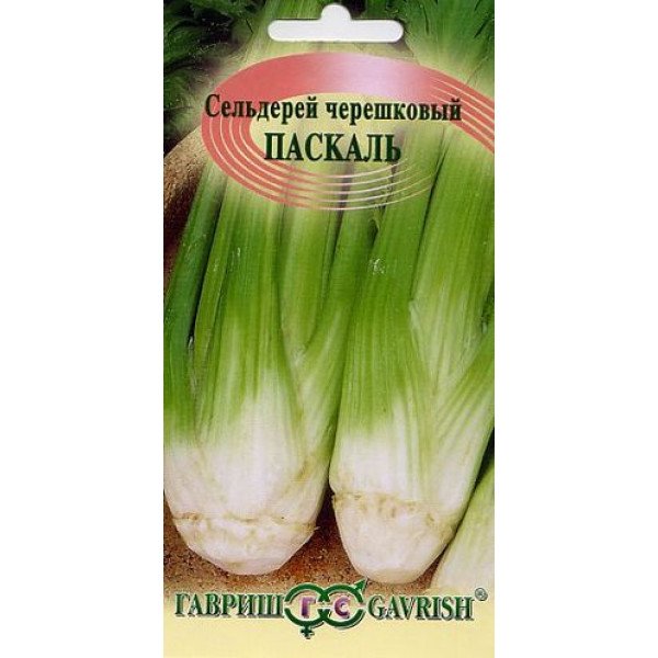 Семена сельдерея черешкового Паскаль /0,3 г/ *Гавриш*