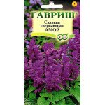 Сальвія Амор /5 насінин/ *Гавриш*