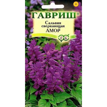 Сальвія Амор /5 насінин/ *Гавриш*