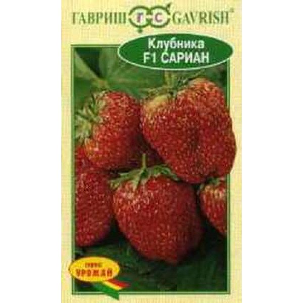 Насіння полуниці Сариан /4 насінини/ *Гавриш*