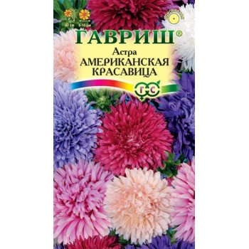 Айстра Американська красуня /0,3 г/ *Гавриш*