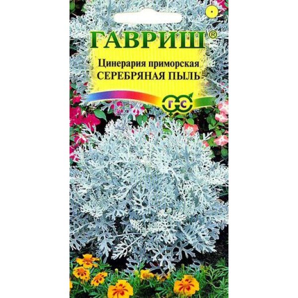 Насіння цинерарії приморської Срібний пил /0,1 г/ *Гавриш*