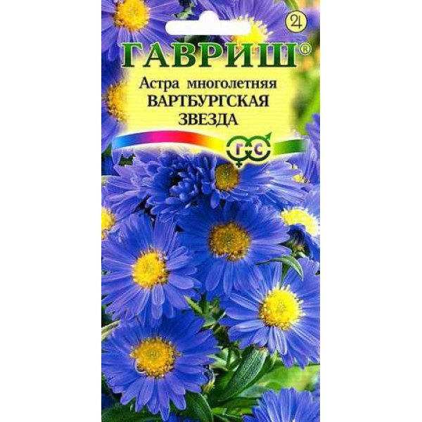 Насіння айстри багаторічної Вартбургська зірка /0,1 г/ *Гавриш*