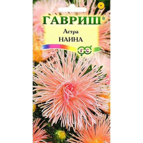 Семена астры Наина /0,3 г/ *Гавриш*