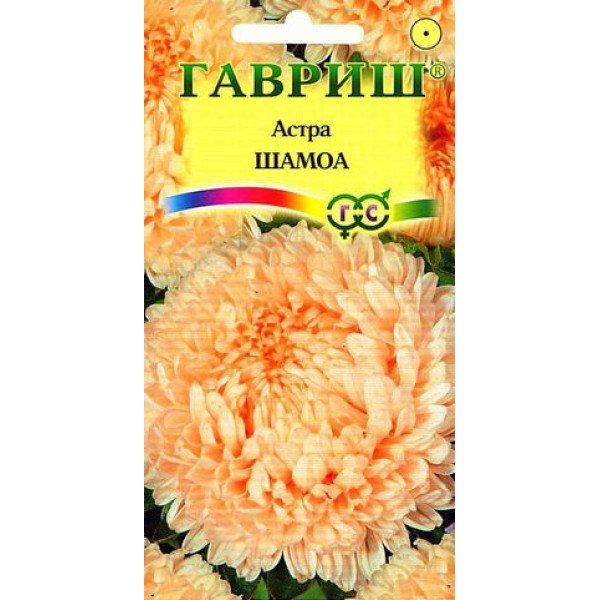 Семена астры Шамоа /0,3 г/ *Гавриш*