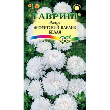 Астра Эрфуртский карлик Белая /0,3 г/ *Гавриш*