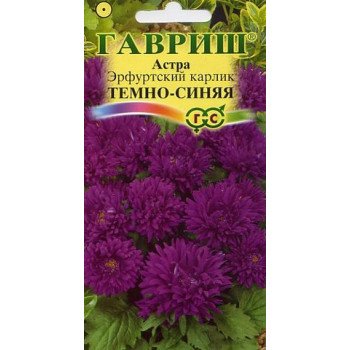 Астра Эрфуртский карлик Темно-синяя /0,3 г/ *Гавриш*