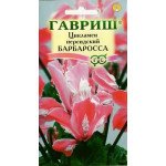 Цикламен Барбаросса /3 семечка/ *Гавриш*