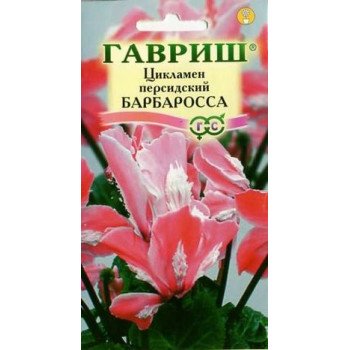 Цикламен Барбаросса /3 семечка/ *Гавриш*