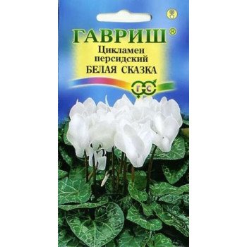 Цикламен Белая сказка /3 семечка/ *Гавриш*
