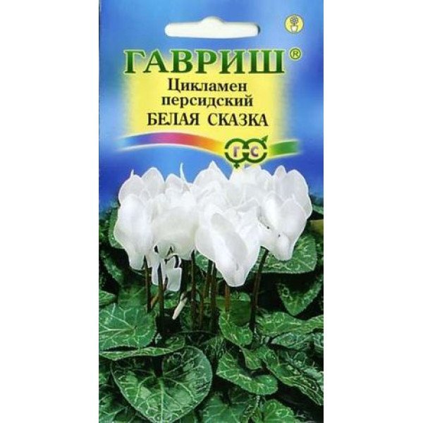 Насіння цикламена Біла казка /3 насінини/ * Гавриш *