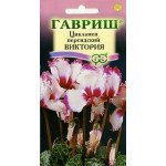 Цикламен Виктория /3 семечка/ *Гавриш*