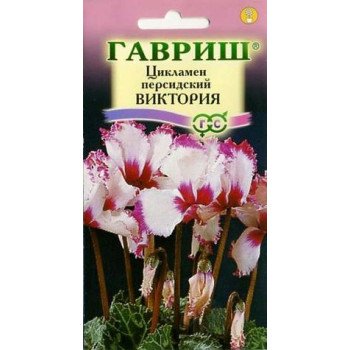 Цикламен Виктория /3 семечка/ *Гавриш*