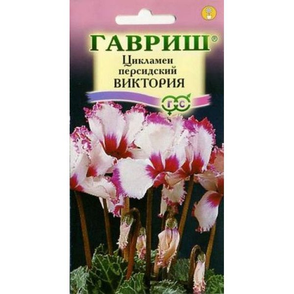 Семена цикламена Виктория /3 семечка/ *Гавриш*