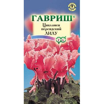 Цикламен Лилу /3 семечка/ *Гавриш*