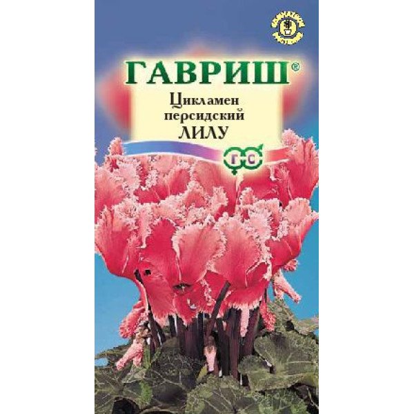 Насіння цикламена Лілу /3 насінини/ *Гавриш*