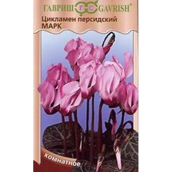 Семена цикламена Марк /3 семечка/ *Гавриш*